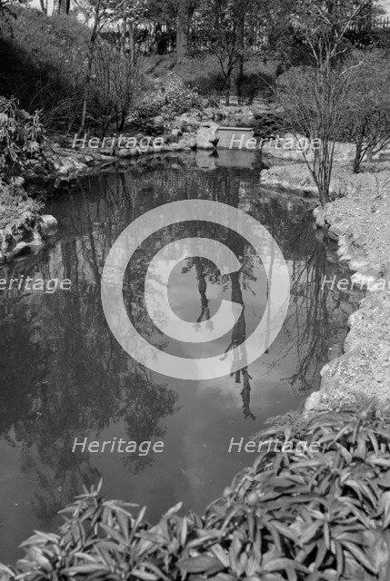 Reflections in the pond at Gravesend Gardens, Kent, c1945-c1965. Artist: SW Rawlings