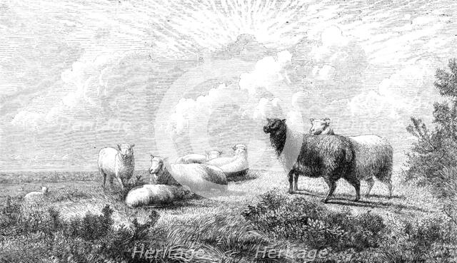 "Summer," by T. W. Keyl, in the exhibition of the British Institution, 1864.  Creator: Pearson.