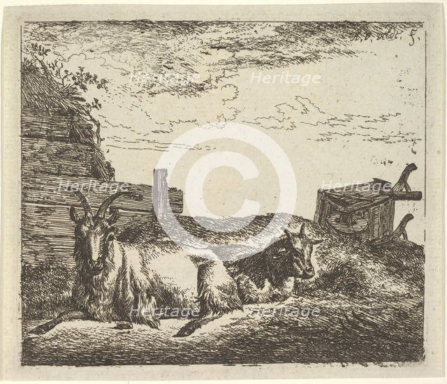 Recumbent Goats, from Different Animals. Creator: Adriaen van de Velde.