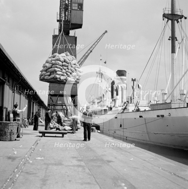 North Quay, West India Docks, London, c1945-c1965. Artist: SW Rawlings