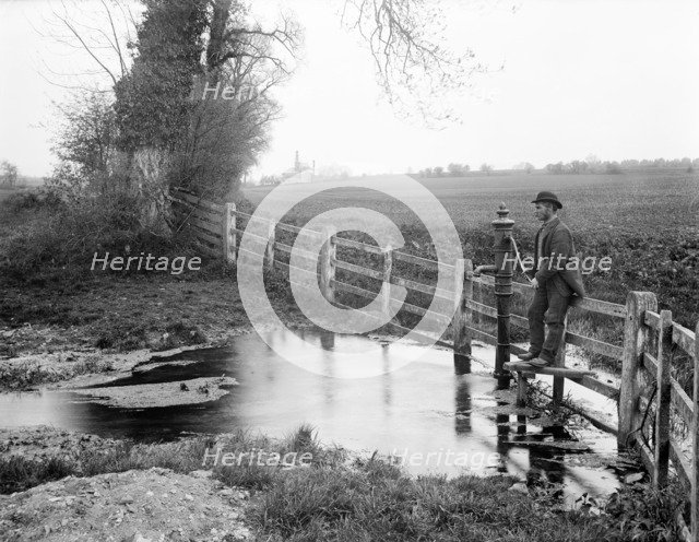 Thames Head, Coates, Gloucestershire, 1890. Artist: Henry Taunt