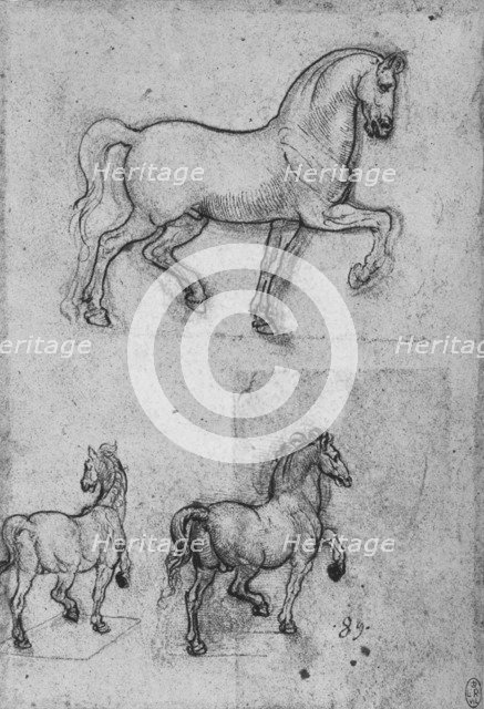 'Three Studies of Horses', c1480 (1945). Artist: Leonardo da Vinci.