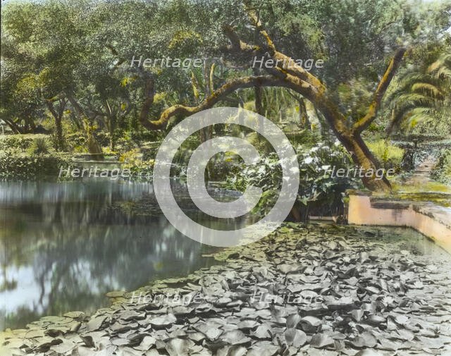 "El Mirador," J. Ogden Armour house, Cold Springs Road, Montecito, California, 1917. Creator: Frances Benjamin Johnston.