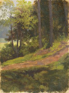 Path on the edge of a forest, 1860-1900. Creator: Jan Nowopacký.