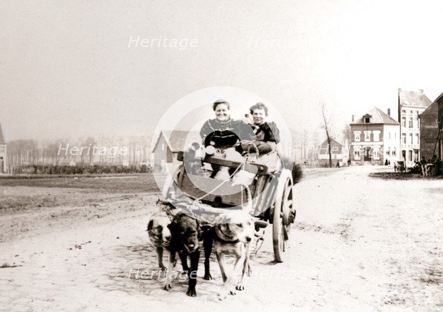 Dogs pulling women on a cart, Antwerp, 1898.Artist: James Batkin