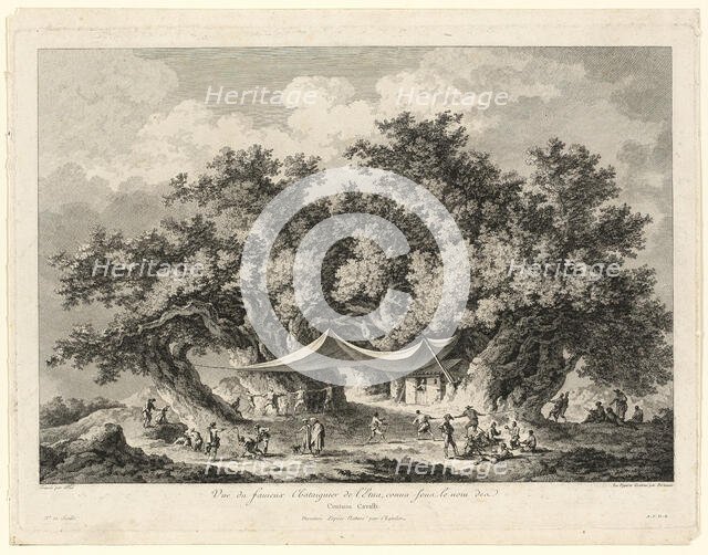 View of the Famous Chestnut Tree of Mount Etna, called Centum Cavalli, 1784/86. Creators: François Allix, H. G. Bertaux.