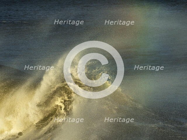 Legacy. Creator: Eve Turek.