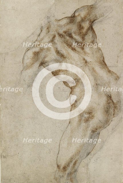 Nude male Torso (possibly a study for the Battle of Cascina), 1501-1505.  Creator: Michelangelo Buonarroti.