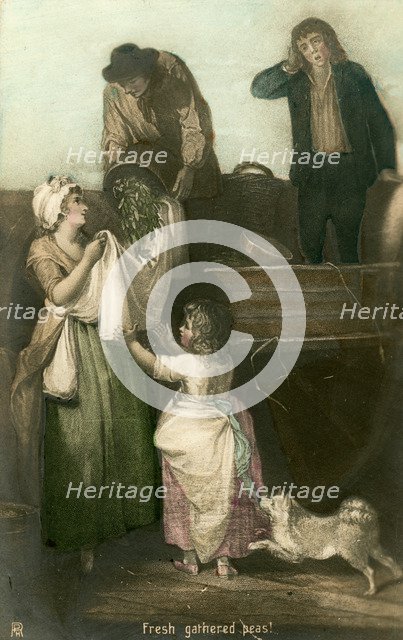 'Fresh gathered peas'.Artist: Rotophot