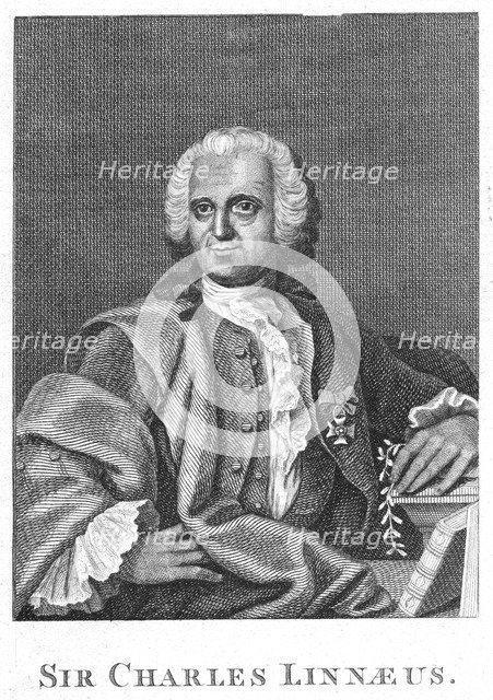 Carolus Linnaeus, 18th century Swedish naturalist. Artist: Unknown