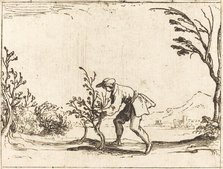 Man Cutting a Balm-Tree. Creator: Jacques Callot.