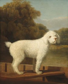 White Poodle in a Punt, c. 1780. Creator: George Stubbs.
