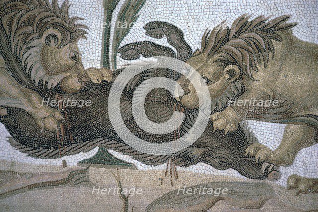 Detail of a Roman mosaic showing lions killing a boar, 2nd century. Artist: Unknown
