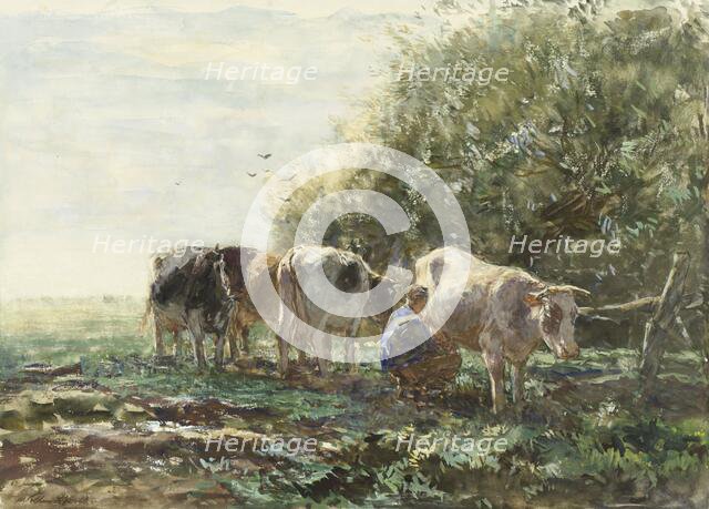 The Milking Pen, 1854-1910. Creator: Willem Maris.