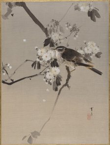 Birds on a Flowering Branch.