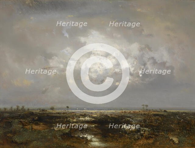 A Swamp in the Landes, after 1844. Creator: Theodore Rousseau.