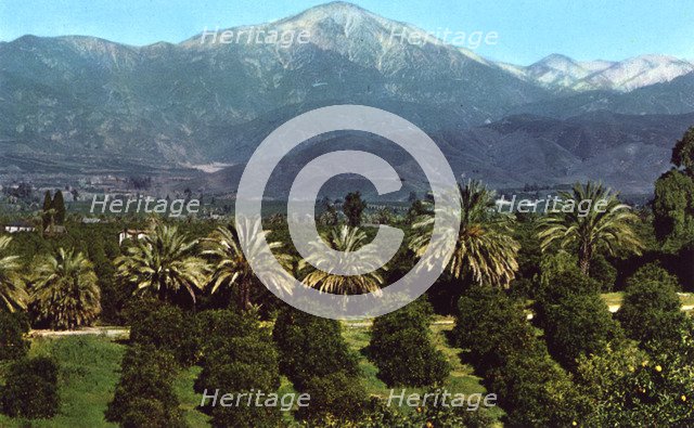 Orange groves and mountains, California, USA, 1953. Artist: Unknown