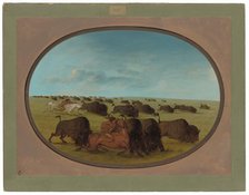 Buffalo Chase, with Accidents, 1861/1869. Creator: George Catlin.