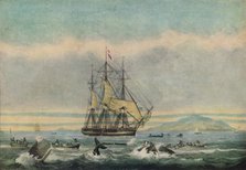'South Sea Whale Fishery', 1825. Artist: Thomas Sutherland.
