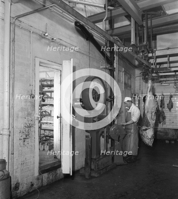 Schonhut's butchery factory, Rawmarsh, South Yorkshire, 1955. Artist: Michael Walters