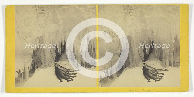 Trout, 1855/75. Creators: Kilburn Brothers, BW Kilburn.