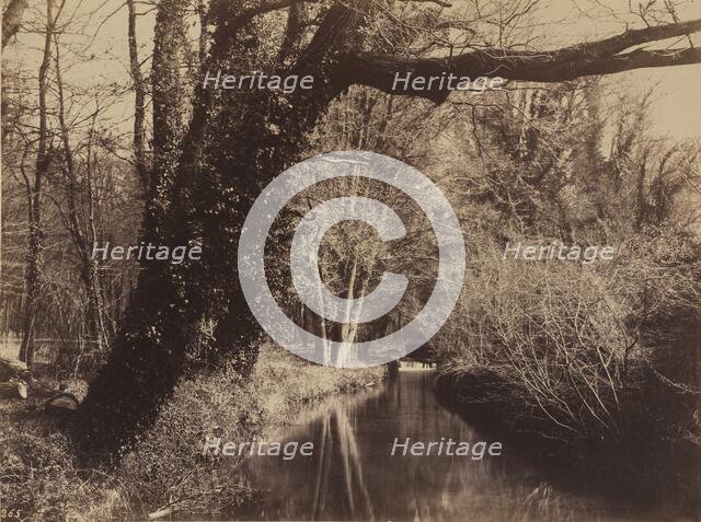 Parc de Courances, late 1850s. Creator: Eugène Cuvelier.