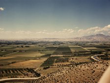 Cherry orchards, farm lands and irrigation ditch at Emmett, Idaho, 1941. Creator: Russell Lee.