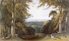 Glen in Windsor Park near Bishops Gate, c1827-30. Creator: William Daniell (1769-1837).