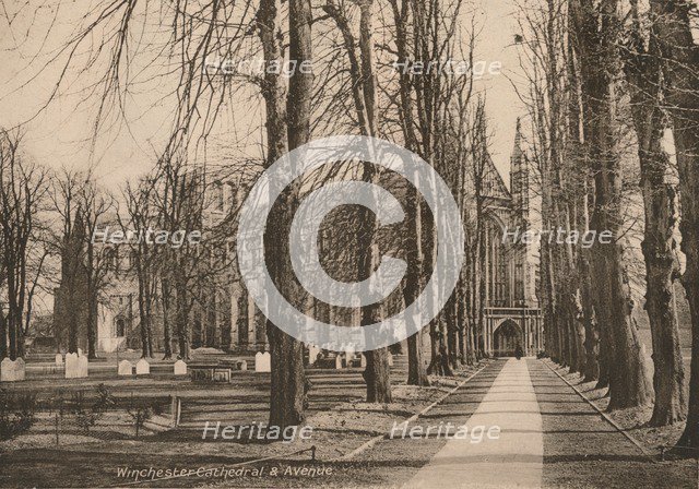 Winchester Cathedral and Avenue, Hampshire, early 20th century(?).  Artist: Unknown.