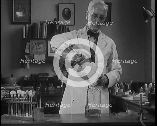 Dr Alexander Fleming, the Inventor of Penicillin, Experimenting in a Laboratory, 1929. Creator: British Pathe Ltd.