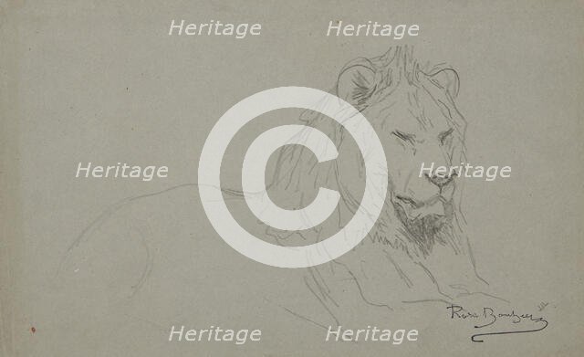 Study Of A Lion's Head, 1832-1899. Creator: Rosa Bonheur.