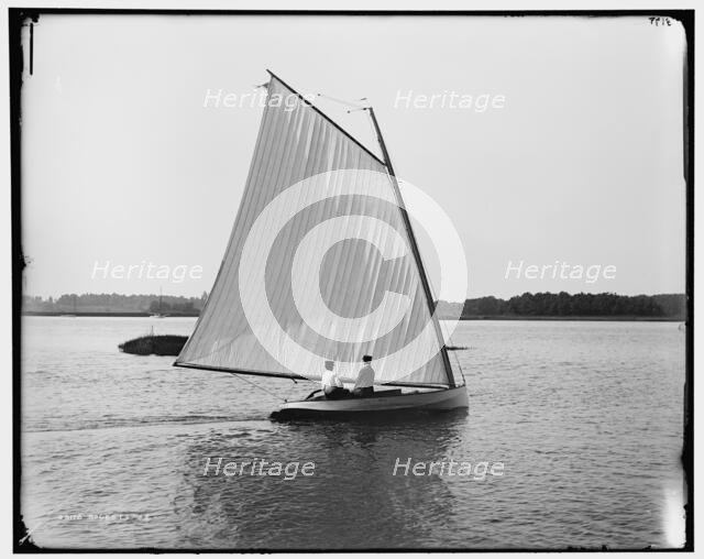 Rocket, between 1880 and 1899. Creator: Unknown.