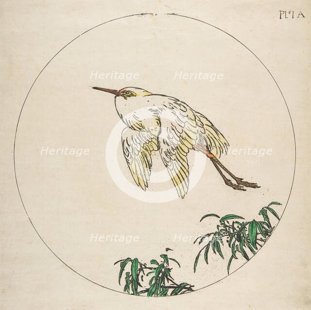 Decoration for a Plate: An Egret Flying Above Bamboo Branches, 1850-1914. Creator: Felix Bracquemond.