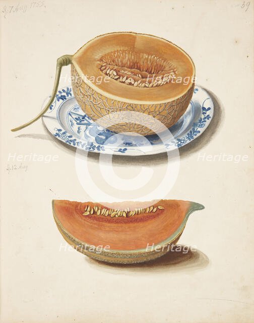 Study of two cantaloupes, 1755. Creator: Fosie, Johanna Marie (1726-1764).