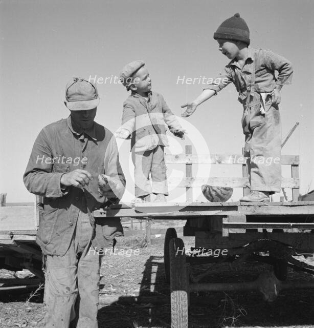 Franklin Schroeder and his older boys in the yard, Dead Ox Flat, Malheur County, Oregon, 1939. Creator: Dorothea Lange.