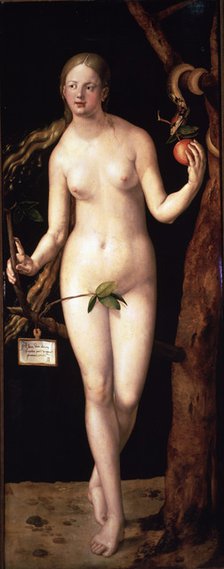  'Eva' oil by Albrecht Dürer.