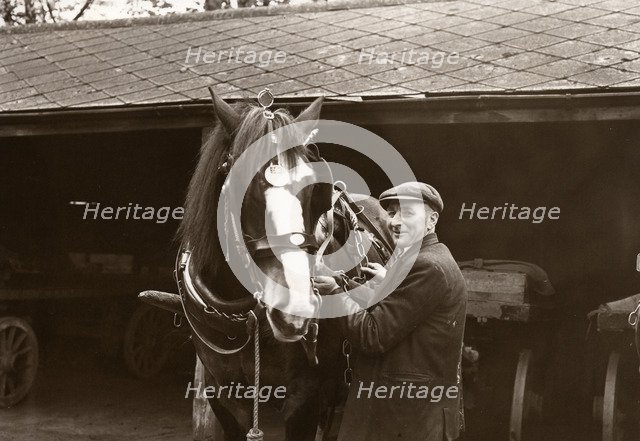 A Rowntree's working horse with driver,  York, Yorkshire,  1955. Artist: Unknown