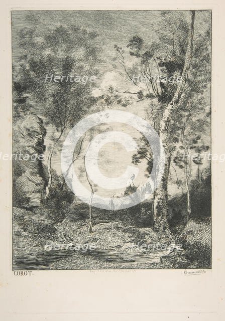 Le cheval blanc, 1858?. Creator: Felix Bracquemond.