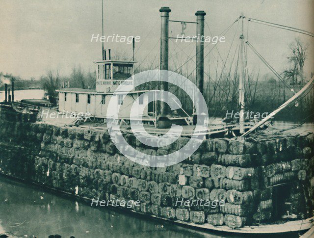 'A full load of Cotton often mounts high over the decks of the Mississippi steamboats', 1937. Artist: Unknown.