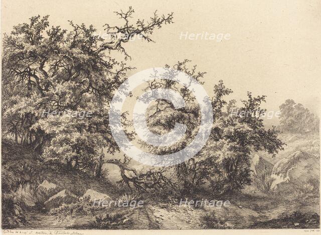 Thornbushes, 1840. Creator: Eugene Blery.