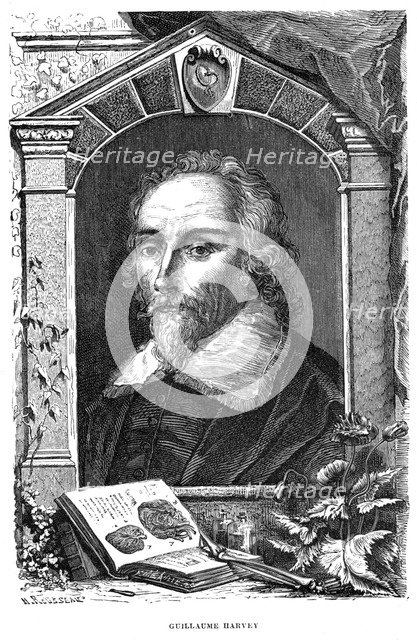 William Harvey (1578-1657) English physician, c17th century. Artist: Unknown