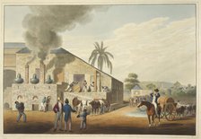Curing-house and stills in Antigua, 1823. Creator: William Clark.