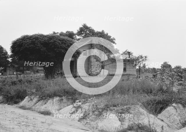 Story-and-a-half weatherboard house, Person County, North Carolina, 1939. Creator: Dorothea Lange.
