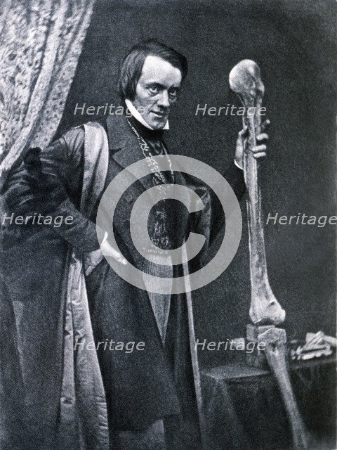 Richard Owen (1804-1892), English zoologist and anatomical, curator of the Royal College of Surge…
