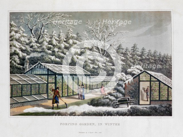 'Forcing Garden in Winter', 1816. Artist: Humphry Repton
