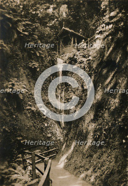 'Shanklin Chine, I.W.', c1920. Creator: Unknown.