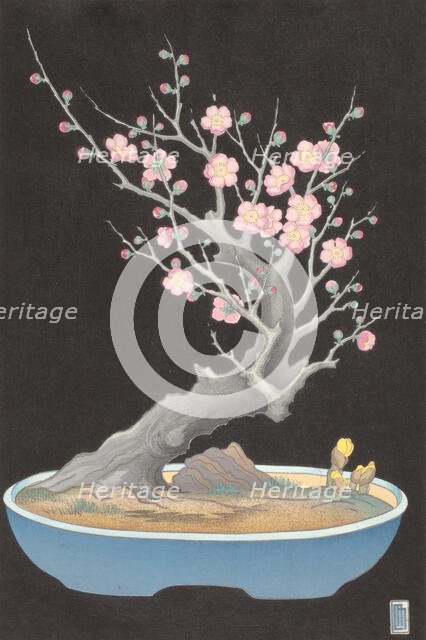 Japanese Dwarf Plum, 1928. Creator: Lillian May Miller.