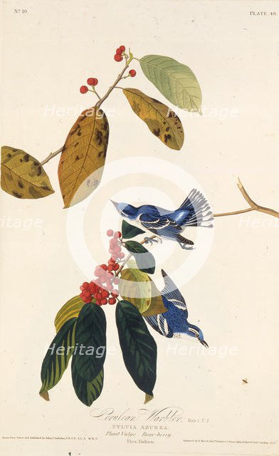 The cerulean warbler. From "The Birds of America", 1827-1838. Creator: Audubon, John James (1785-1851).