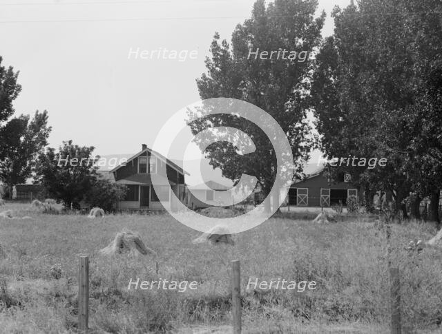 Another view of E. Houston's farm, Washington, Yakima County, west of Toppenish, 1939. Creator: Dorothea Lange.
