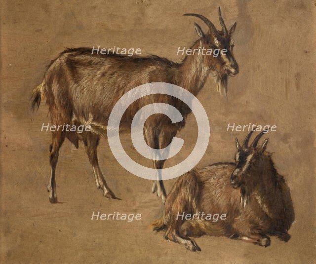 Goats, c1870s. Creator: Andre Plumot.